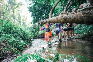 BIB: 
                            <button type="button" onclick="openModal(25458678)" class="btn btn-primary btn-sm float-right btn-popup" data-toggle="modal" data-target=".modal-high-quality">
                        <i class="fas fa-shopping-cart"></i> Add to Cart
                    </button>
                                            <button type="button" onclick="isThisMe(25458678, true)" class="btn btn-success btn-sm float-right btn-popup btn-isme hidden" data-toggle="tooltip" data-placement="bottom" title="นี่คือรูปของคุณใช่ไหม คลิกที่นี่เพื่อเอาเข้าอัลบั้ม">
                        <i class="fas fa-plus"></i> Add to album
                    </button>
                    <button type="button" onclick="isThisMe(25458678, false)" class="btn btn-warning btn-sm float-right btn-popup btn-isnotme hidden">
                        <i class="fas fa-ban"></i> Remove from album
                    </button>